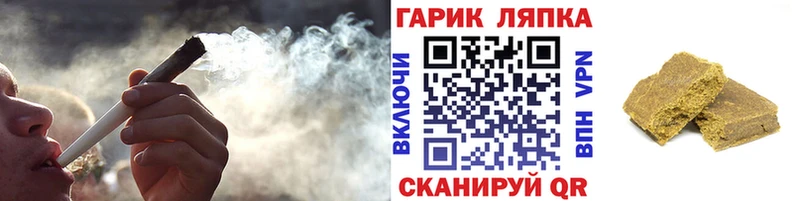 мориарти Telegram  мега как зайти  Кадников  ГАШИШ Изолятор 