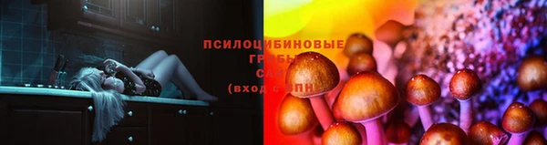 не бодяженный Инсар