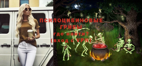 твердый Александровское