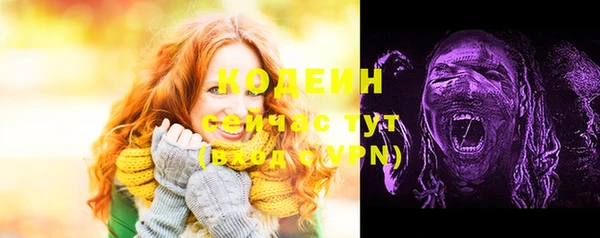 не бодяженный Инсар