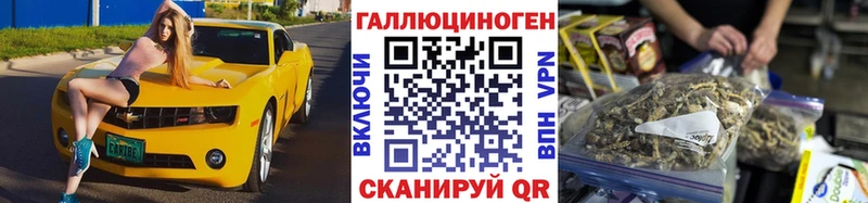 наркошоп  Кадников  блэк спрут   Галлюциногенные грибы Psilocybe 